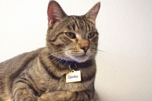 Picture of Slinky