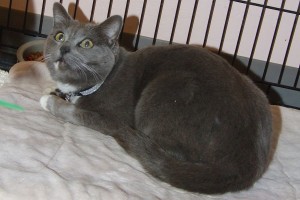 Picture of Mariah