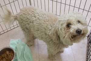 Picture of Wilma