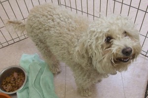 Picture of Wilma