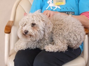 Picture of Wilma