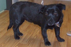 Picture of Annie