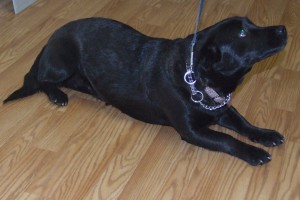 Picture of Annie