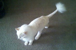 Picture of Kasey