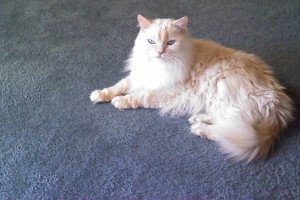 Picture of Kasey