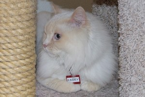 Picture of Kasey