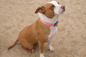 Picture of Katie