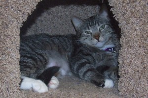 Picture of Katie