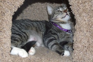Picture of Katie