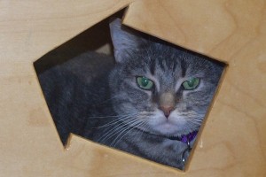Picture of Laila