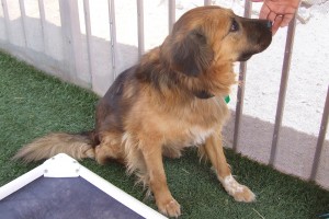 Picture of Leroy