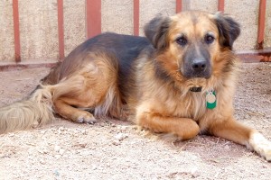 Picture of Leroy