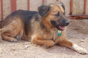 Picture of Leroy
