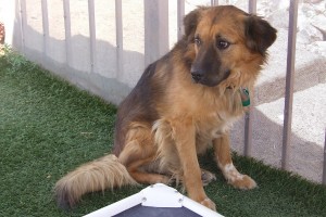 Picture of Leroy