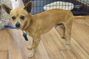 Picture of Mason