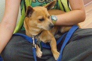 Picture of Mason