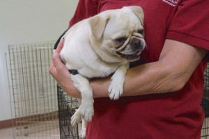 Picture of Mia