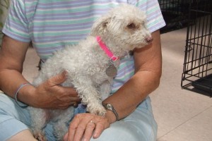 Picture of Milly