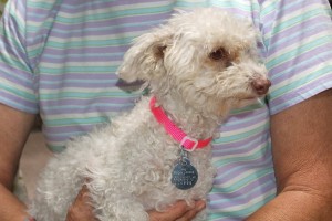 Picture of Milly