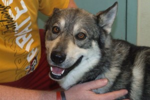 Picture of Smoky