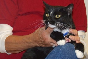 Picture of Zee