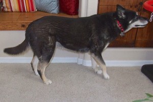 Picture of Zoey
