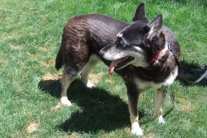 Picture of Zoey