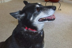 Picture of Zoey