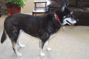 Picture of Zoey