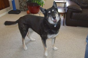 Picture of Zoey