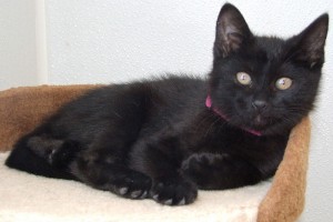 Picture of Brooke