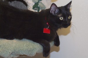 Picture of Darby