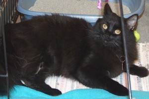 Picture of Darby