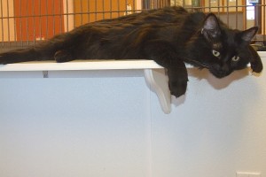 Picture of Darby