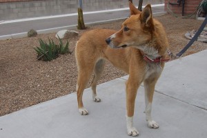 Picture of Diane