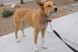 Picture of Diane