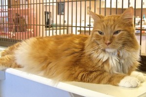 Picture of Ernie