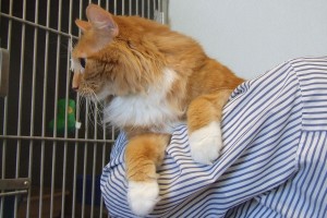 Picture of Ernie