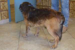 Picture of Leroy