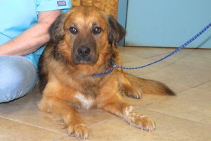 Picture of Leroy