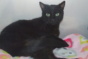 Picture of Lucy