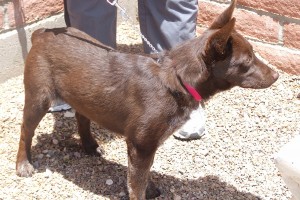 Picture of Thelma