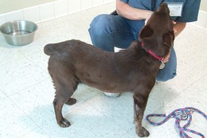 Picture of Thelma