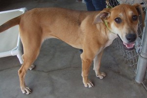 Picture of Dora