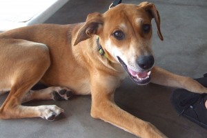 Picture of Dora