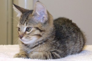 Picture of Jerry