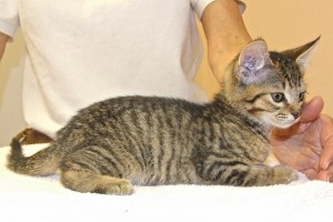 Picture of Jerry