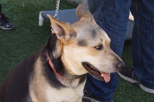 Picture of Cali Ann