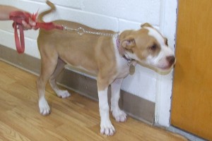 Picture of Marti