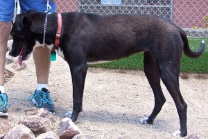 Picture of Miss Bella